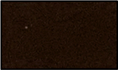 RMM-481 ブラウン