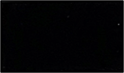 RQM-59 ブラック