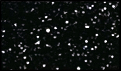RSG-58 ブラック